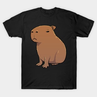 Capybara with a grumpy look T-Shirt